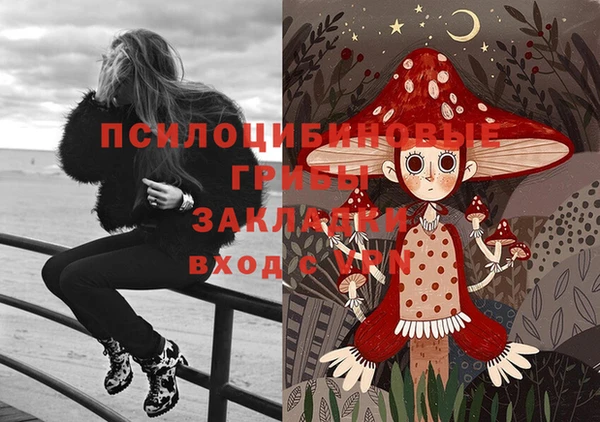 герыч Верея