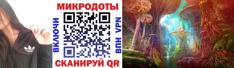 Псилоцибиновые грибы Psilocybine cubensis  Гусев 